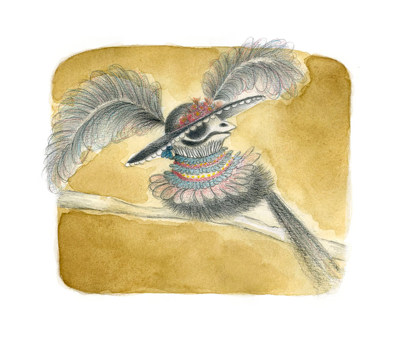 catrina, skull, bird, cute, mexican, feathers, watercolor, pencil, illustration